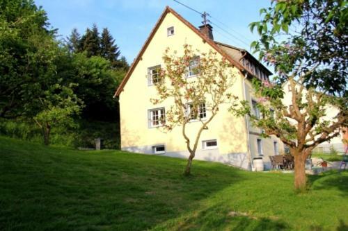 Ferienhaus Hilberath Villa Adenau Eksteriør bilde
